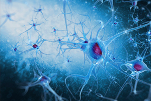 Kanabis podporuje neurogenézu: rast nových mozgových buniek