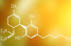 Čo je CBD? Všetko, čo potrebujete vedieť o kanabidiole