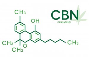 ČO JE CBN ? Kanabinol (CBN) novinka na trhu