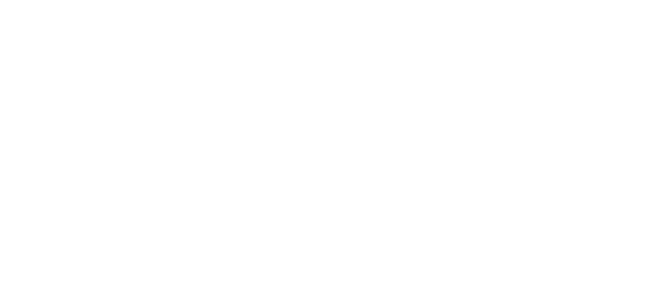 SwissExclusive logo